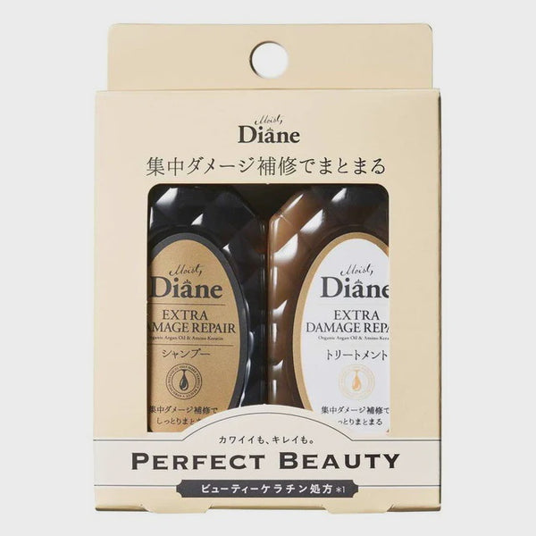 MINI SET DIANE SHAMPOO & TREATMENT