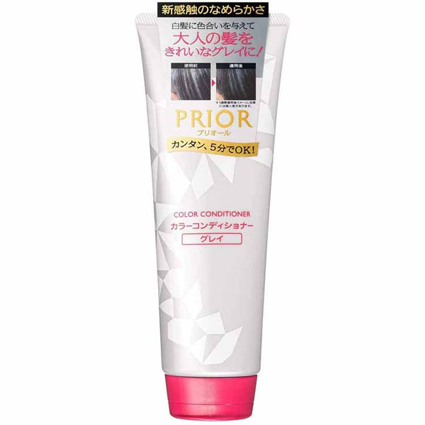 SHISEIDO COLOR CONDITIONER N GRAY 230G