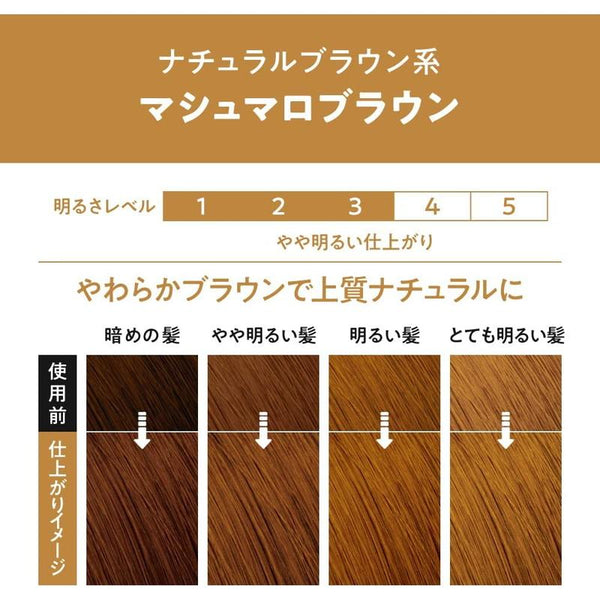 KAO LIESE FOAM HAIR DYE 115ML - 2 COLOURS